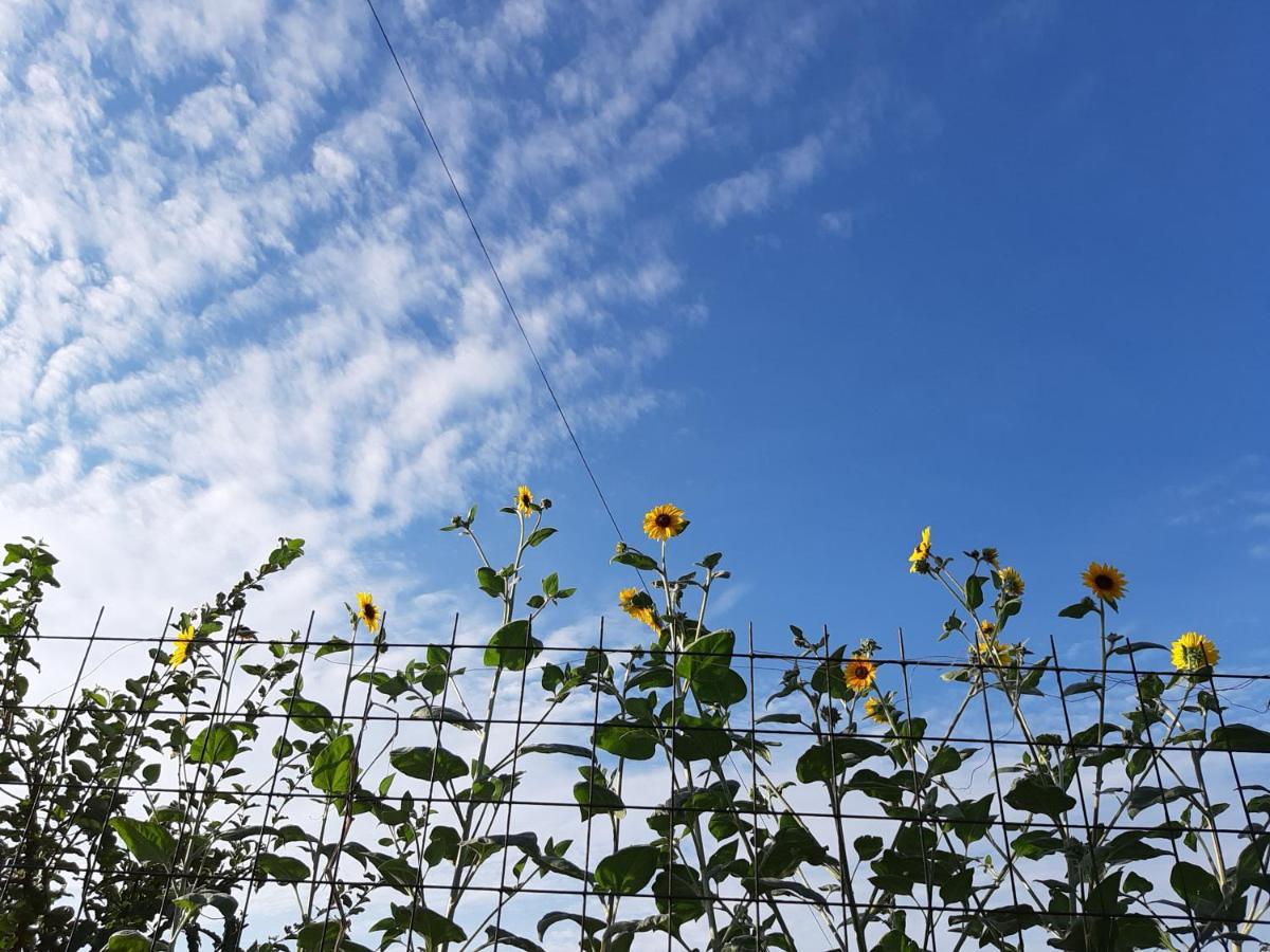 Guesthouse Kume Imabari Railway Station Екстериор снимка
